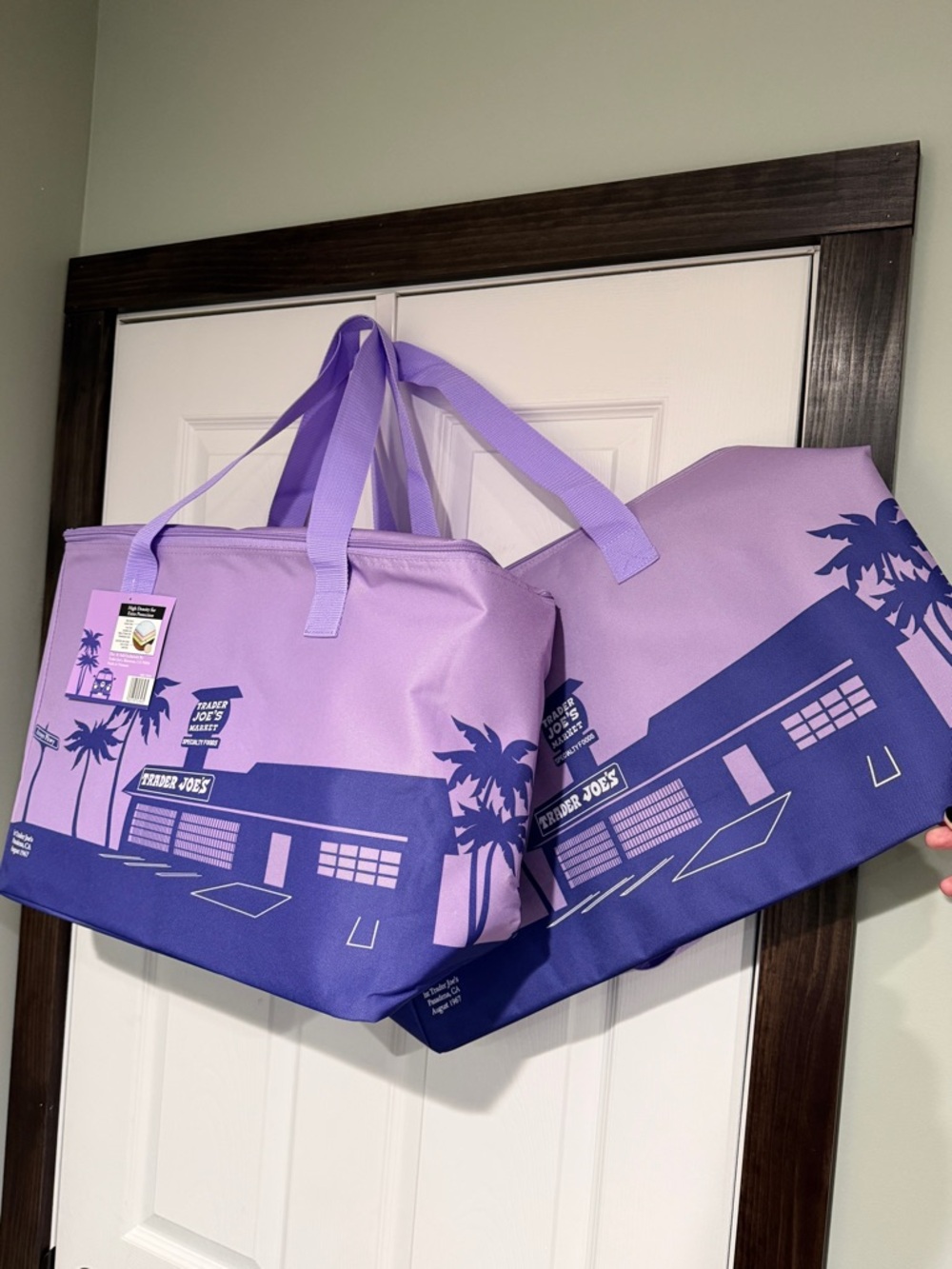 TWO (2) Trader Joe’s Purple Rain Cooler Bag
